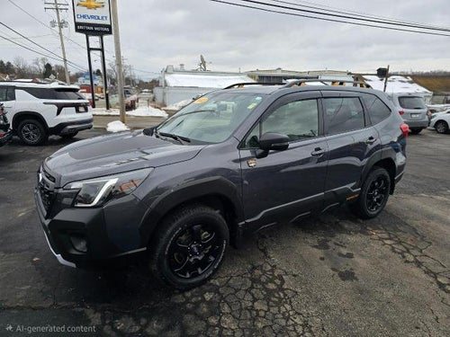 2023 Subaru Forester Wilderness